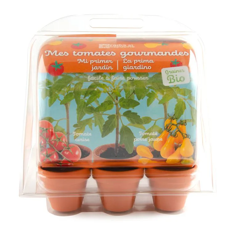 Mini serre Tomates bio**