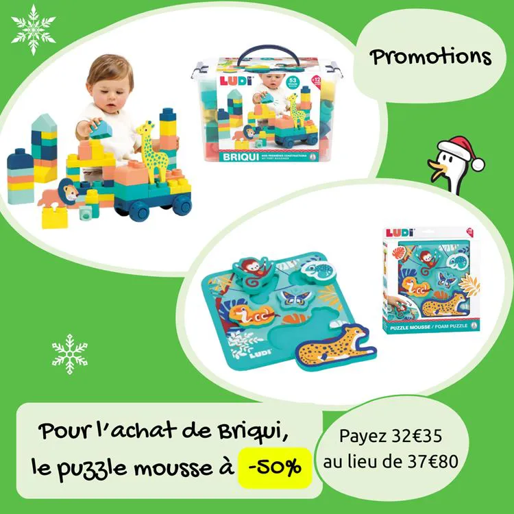 Pour l'achat de Briqui : le puzzle mousse à -50%