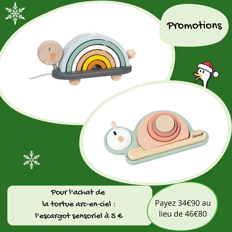Offre Tortue arc-en-ciel + escargot sensoriel
