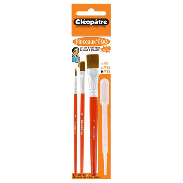 Lot de 3 pinceaux et pipette**