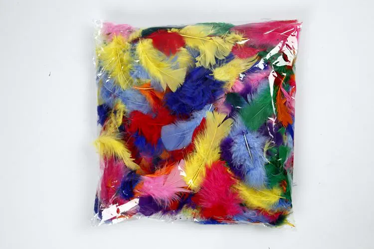 Plumes multicolores**