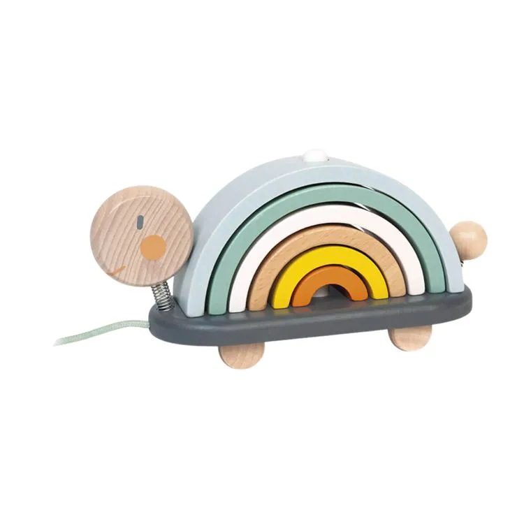 Tortue arc-en-ciel