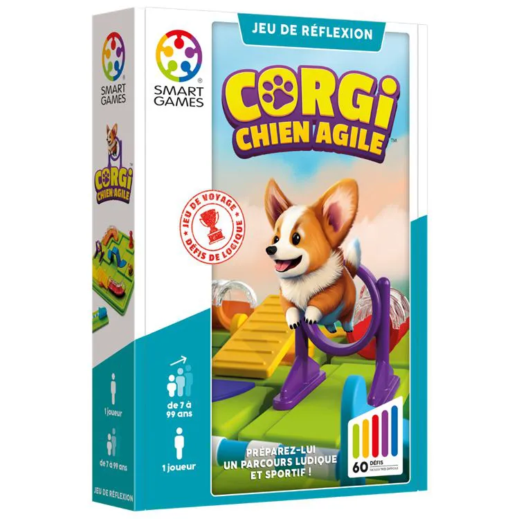 Corgi, chien agile