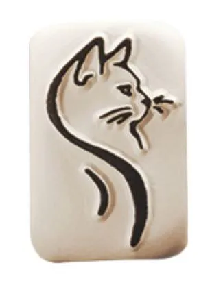 Pierre - Chat