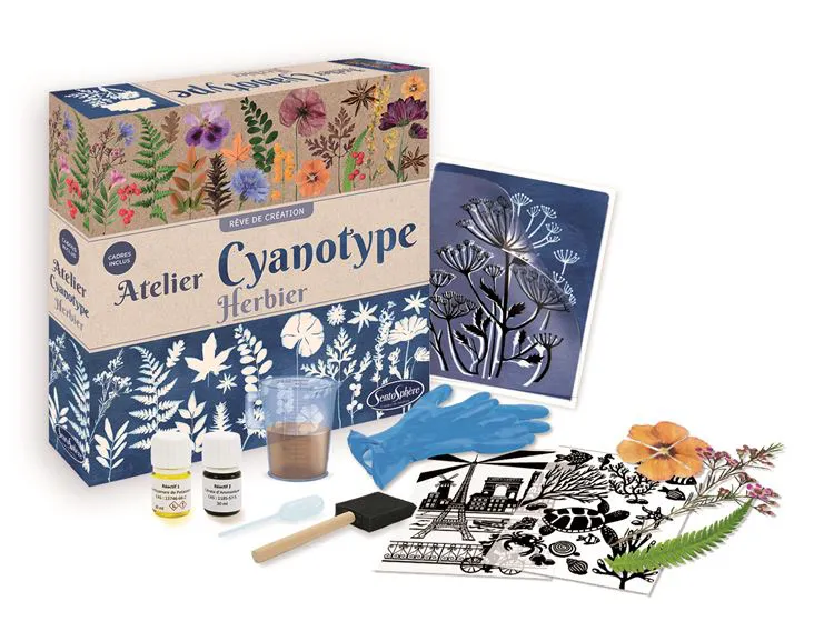 Atelier cyanotype herbier