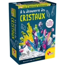 A la découverte des cristaux A la découverte des cristaux