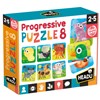 Progressive puzzle