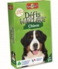 Défis Nature - Chiens** 1