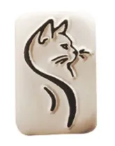 Pierre - Chat