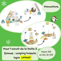 Achat boite à formes : Looping basculo offert