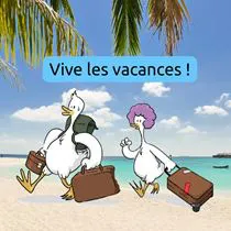 Packs Vacances